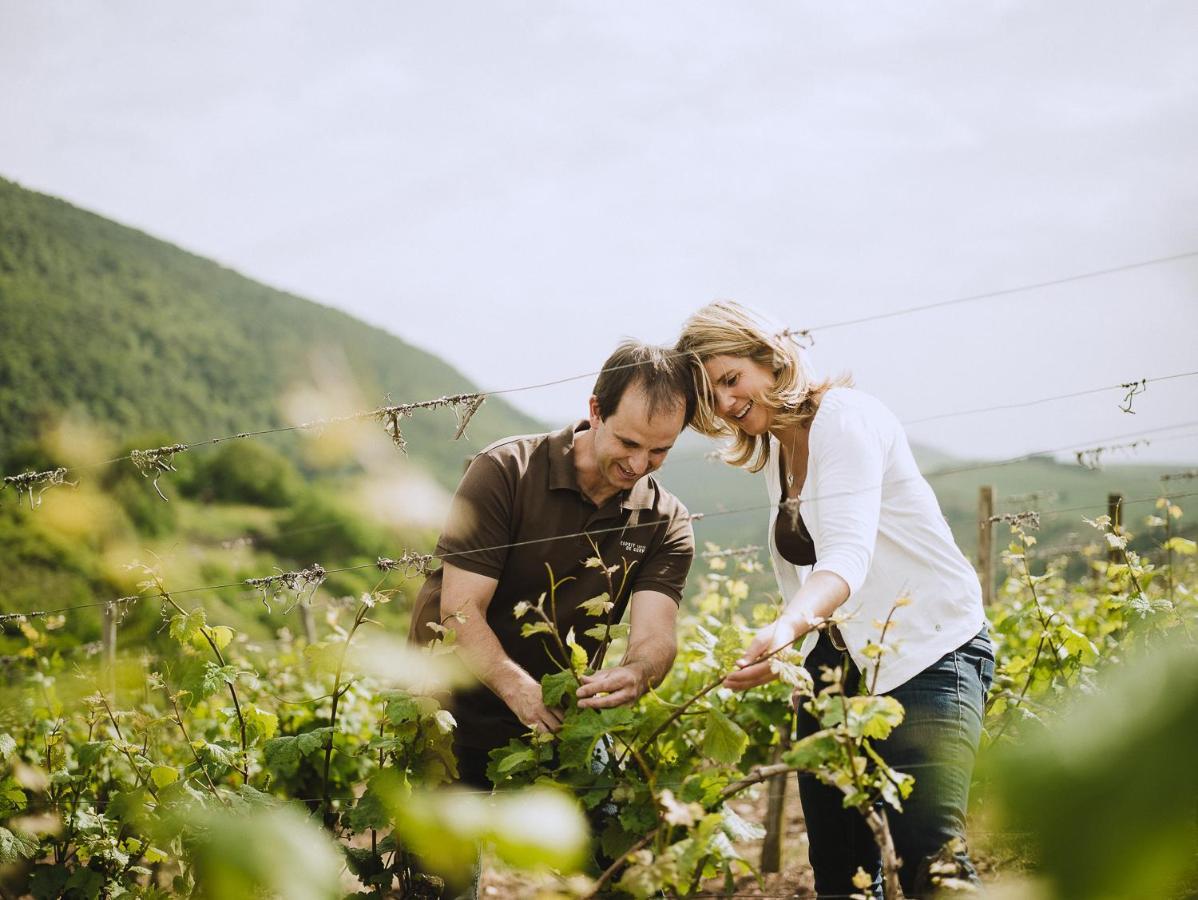 Weingut Und Gastehaus Holger Alt Ξενοδοχείο Monzingen Εξωτερικό φωτογραφία