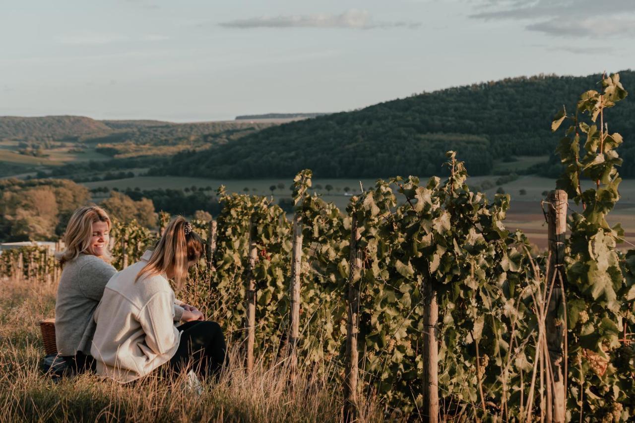 Weingut Und Gastehaus Holger Alt Ξενοδοχείο Monzingen Εξωτερικό φωτογραφία