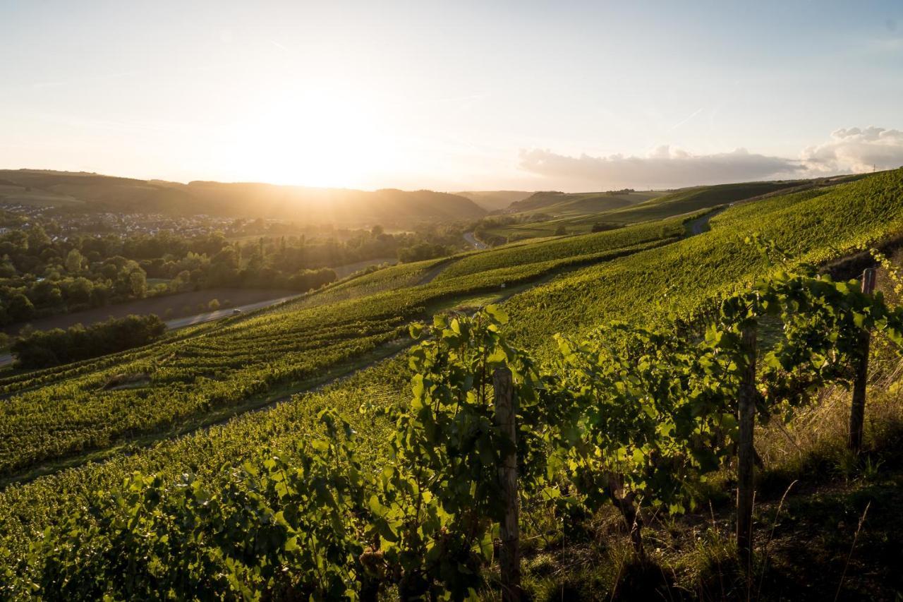 Weingut Und Gastehaus Holger Alt Ξενοδοχείο Monzingen Εξωτερικό φωτογραφία